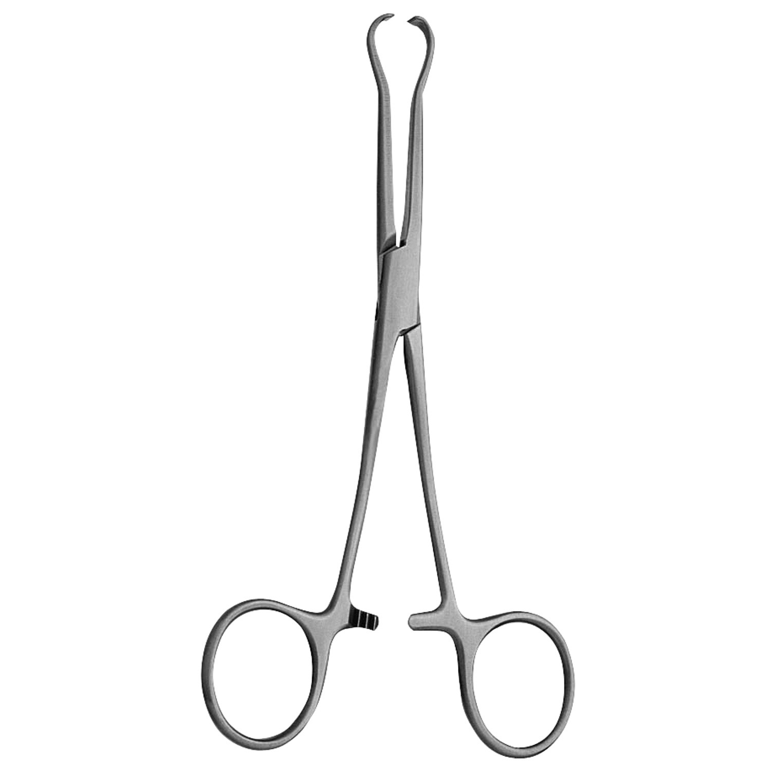 Vas Clamp, Circular Jaws, 5x6 Blunt Teeth, 6" (15.0 Cm)